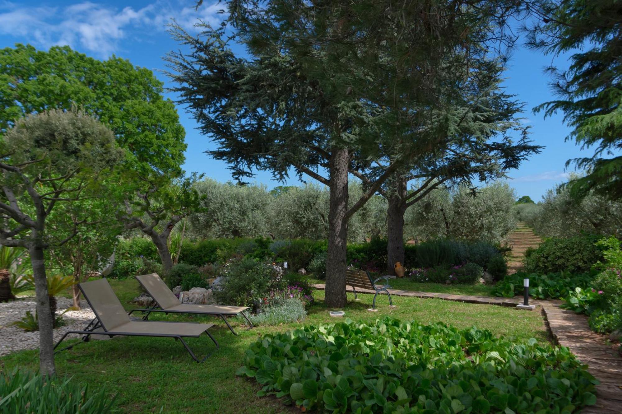 Agriturismo Masseria Aprile Locorotondo Bagian luar foto