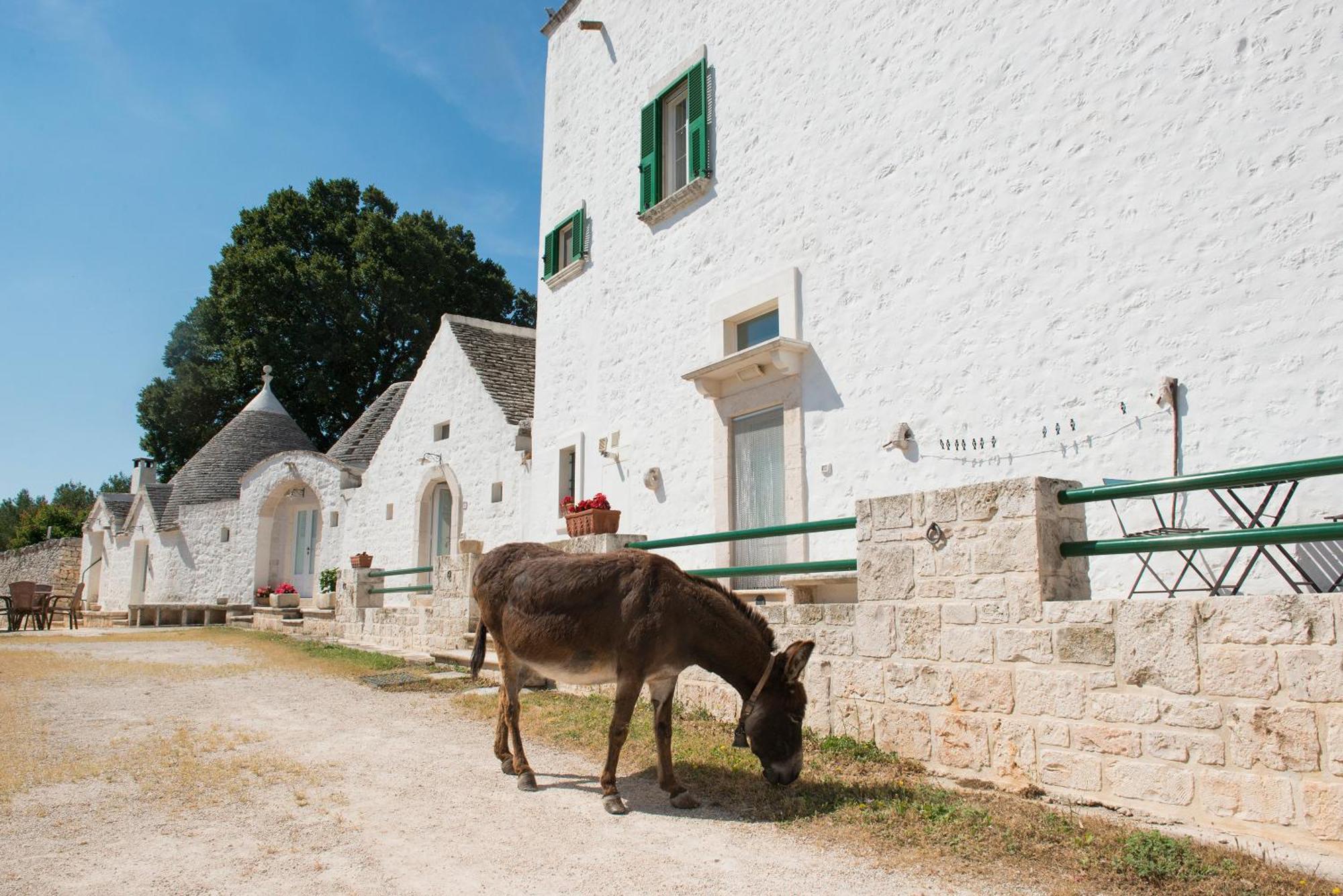 Agriturismo Masseria Aprile Locorotondo Bagian luar foto
